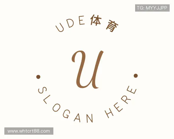介绍UDE体育