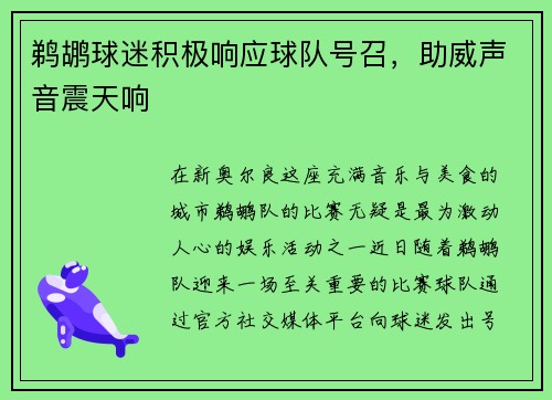 鹈鹕球迷积极响应球队号召，助威声音震天响