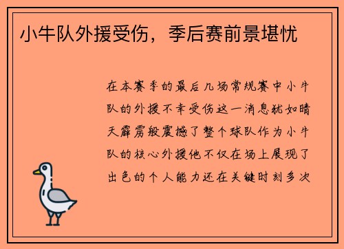 小牛队外援受伤，季后赛前景堪忧